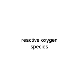 reactive oxygen species